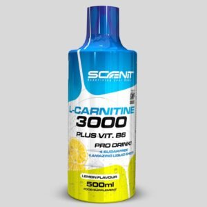 L-Carnitine 3000 + Vitamin B6 - Scenit Nutrition | 500 ml